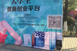 马上金融催收被起诉：揭开金融行业合规与风险的博弈